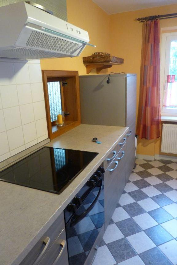 Ferienhaus Ferien Am Waldrand Алтенберг Източен Ерцгебирге Екстериор снимка